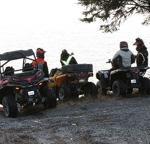 Why Lakeside Cottages Make for the Best Northern Ontario Getaways for Pet Owners